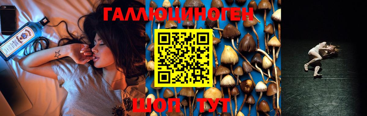 Вязники  дарнет шоп  Галлюциногенные грибы Magic Shrooms  Вход с VPN  Галлюциногенные грибы Cubensis 